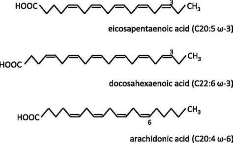 omega 3 polyunsaturated fatty acids